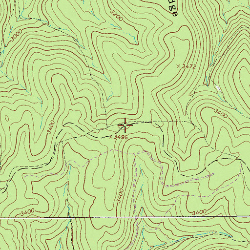 Topographic Map of Turkey Mountain Trail, WV