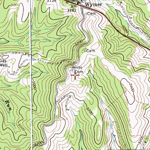 Topographic Map of White Cemetery, WV