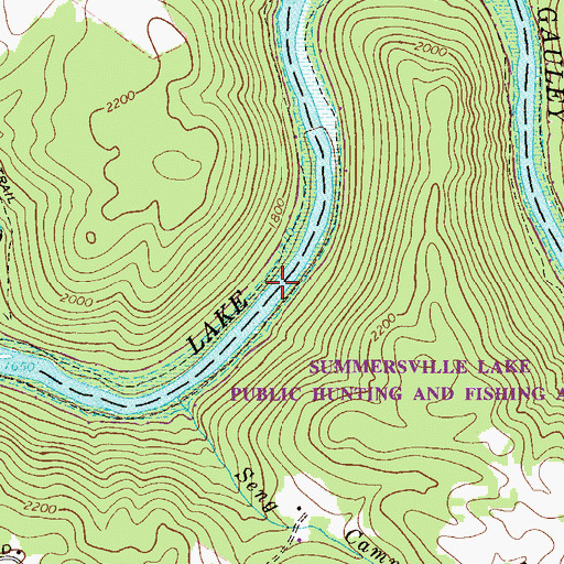 Topographic Map of Summersville Lake Public Hunting and Fishing Area, WV