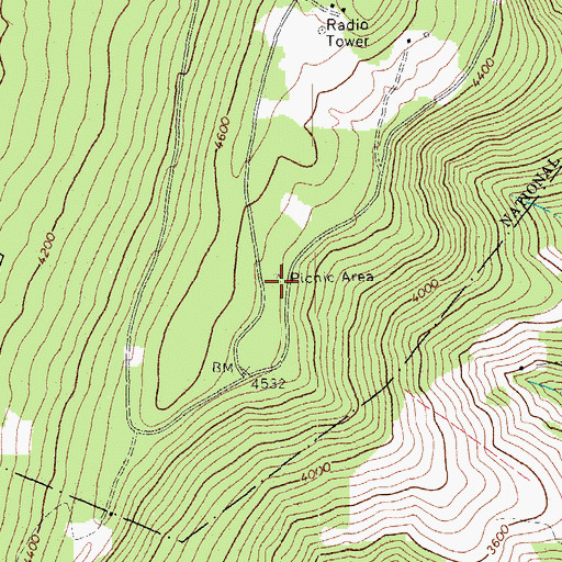 Topographic Map of Spruce Knob Picnic Area, WV