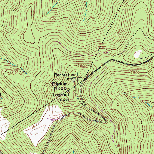 Topographic Map of Bickle Knob Picnic Area, WV