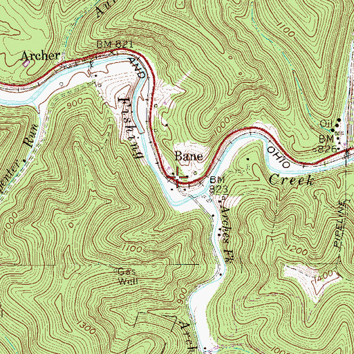 Topographic Map of Bane, WV