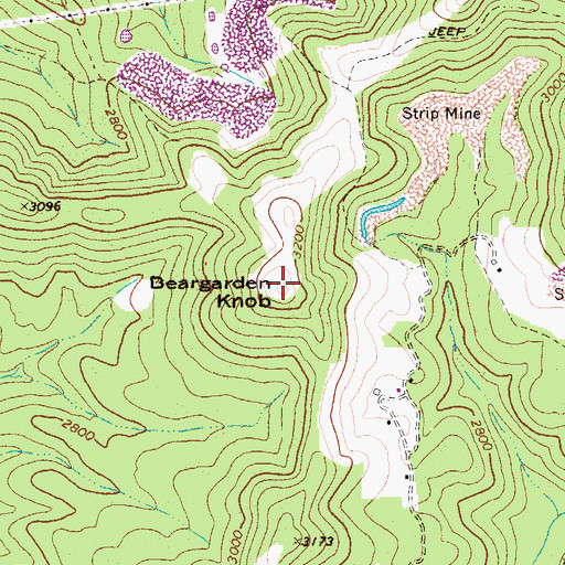 Topographic Map of Beargarden Knob, WV