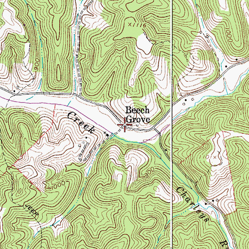 Topographic Map of Beech Grove, WV