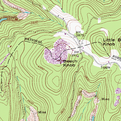 Topographic Map of Beech Knob, WV