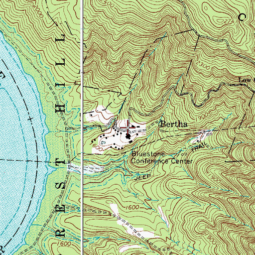 Topographic Map of Bertha, WV