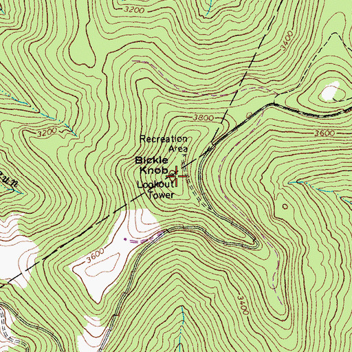 Topographic Map of Bickle Knob, WV