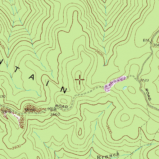 Topographic Map of Big Mountain, WV