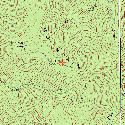 Topographic Map of Big Mountain, WV