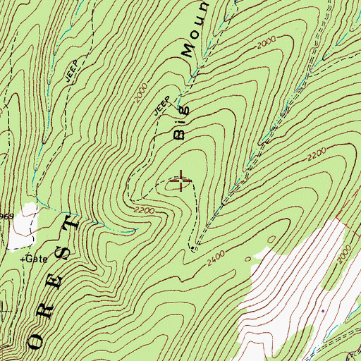 Topographic Map of Big Mountain, WV