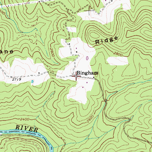 Topographic Map of Bingham, WV