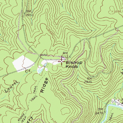 Topographic Map of Bishop Knob, WV