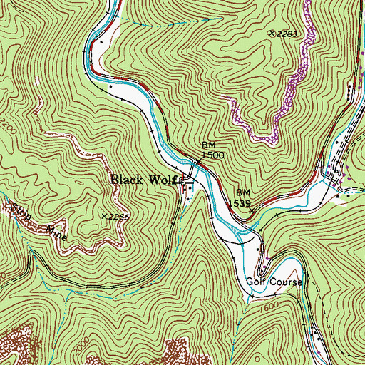 Topographic Map of Black Wolf, WV