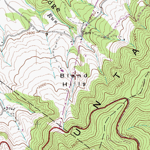 Topographic Map of Bland Hills, WV