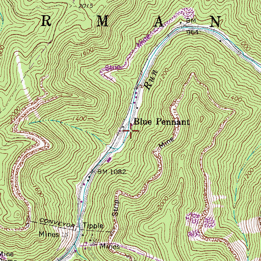 Topographic Map of Blue Pennant, WV