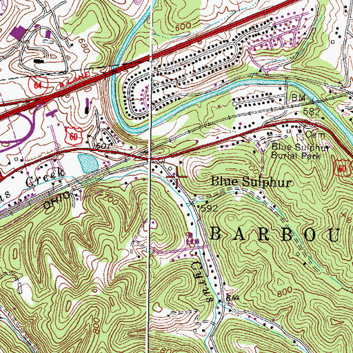 Topographic Map of Blue Sulphur, WV
