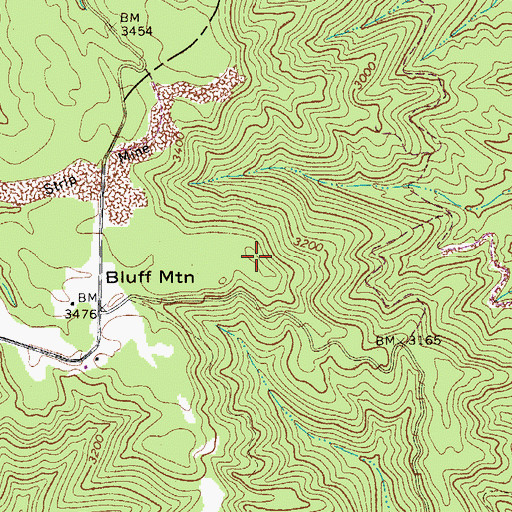 Topographic Map of Bluff Mountain, WV