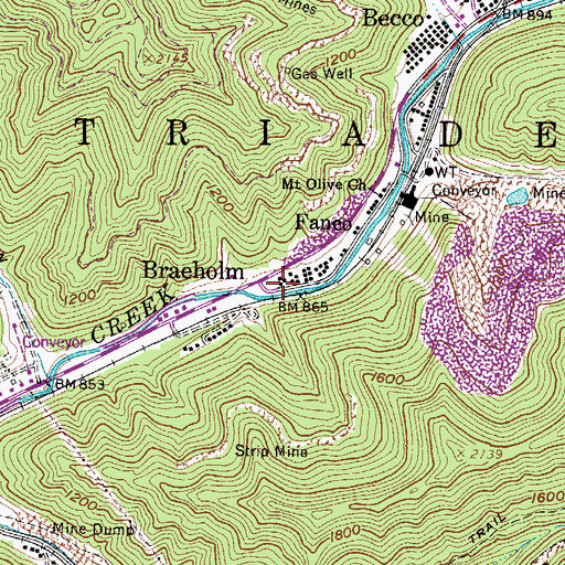 Topographic Map of Braeholm, WV