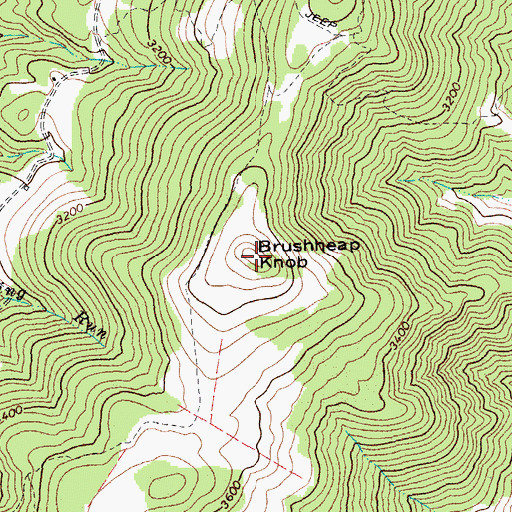 Topographic Map of Brushheap Knob, WV