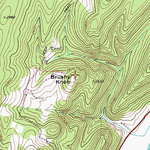 Topographic Map of Brushy Knob, WV