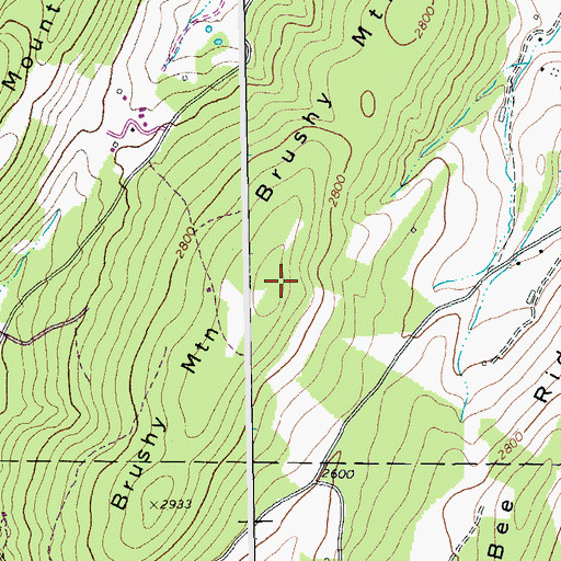 Topographic Map of Brushy Mountain, WV