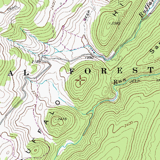 Topographic Map of Buffalo Hills, WV