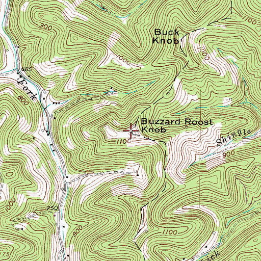 Topographic Map of Buzzard Roost Knob, WV