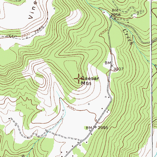 Topographic Map of Caesar Mountain, WV