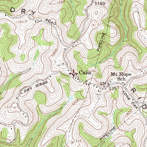 Topographic Map of Calis, WV