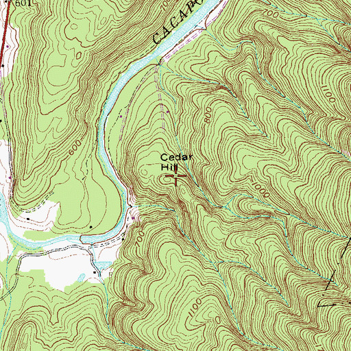 Topographic Map of Cedar Hill, WV