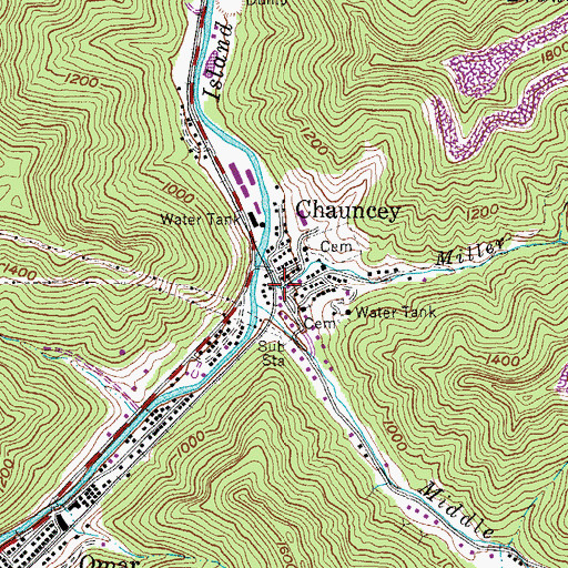 Topographic Map of Chauncey, WV