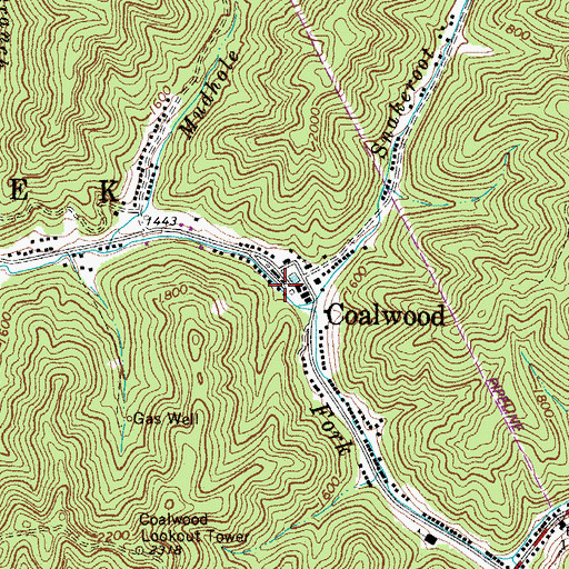 Topographic Map of Coalwood, WV