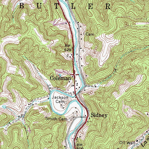 Topographic Map of Coleman, WV