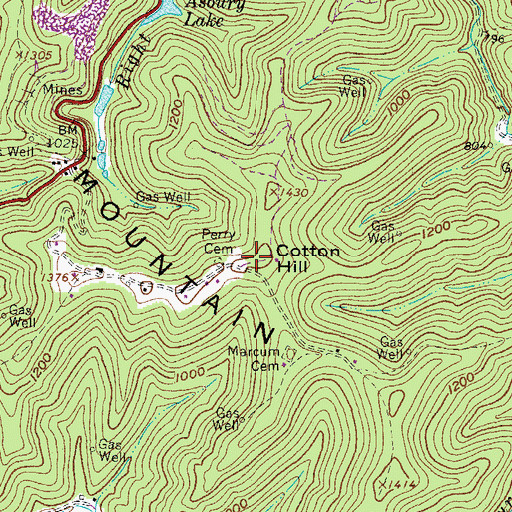 Topographic Map of Cotton Hill, WV