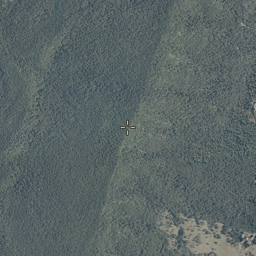Aerial/Satellite Image of Cove Mountain, WV