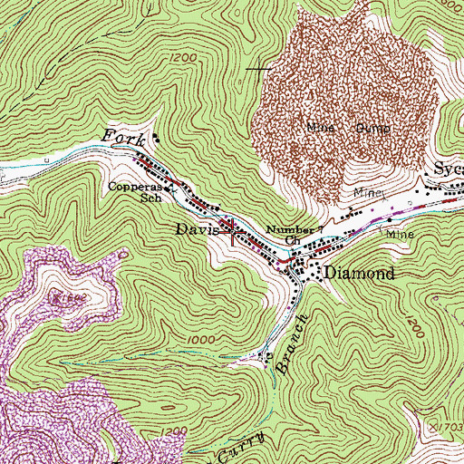 Topographic Map of Davis, WV