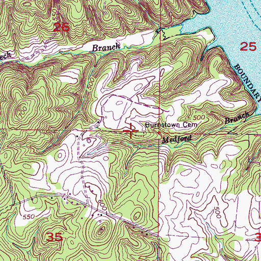 Topographic Map of Ross Chapel (historical), AL