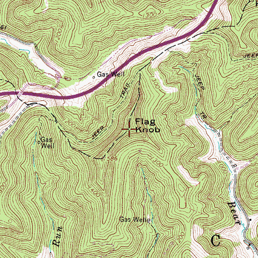 Topographic Map of Flag Knob, WV