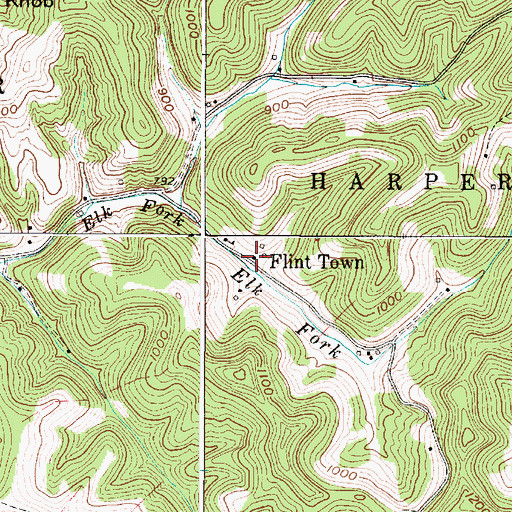 Topographic Map of Flint Town, WV