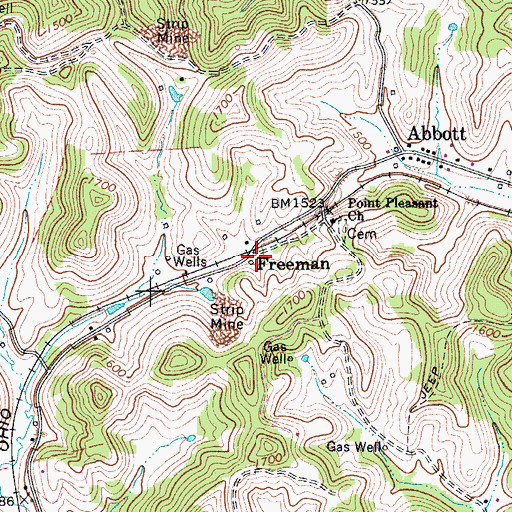 Topographic Map of Freeman, WV
