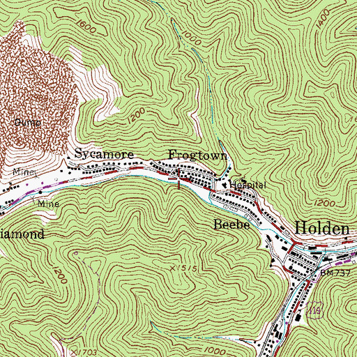 Topographic Map of Frogtown, WV
