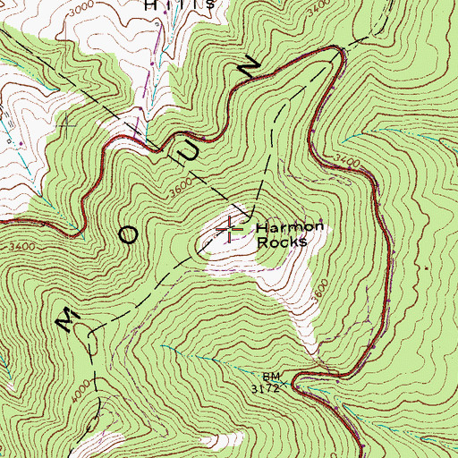 Topographic Map of Harmon Rocks, WV
