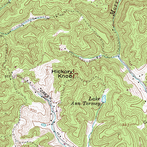 Topographic Map of Hickory Knob, WV
