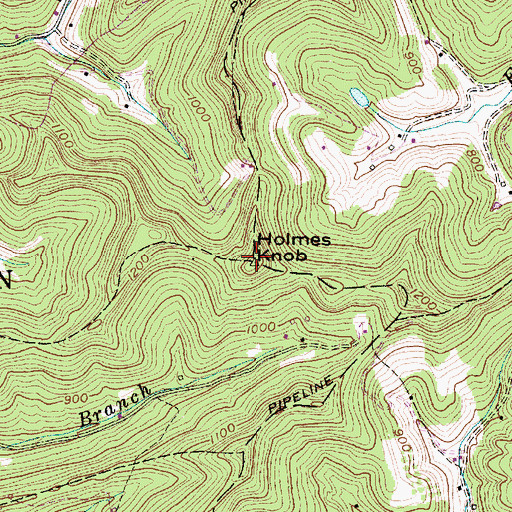 Topographic Map of Holmes Knob, WV