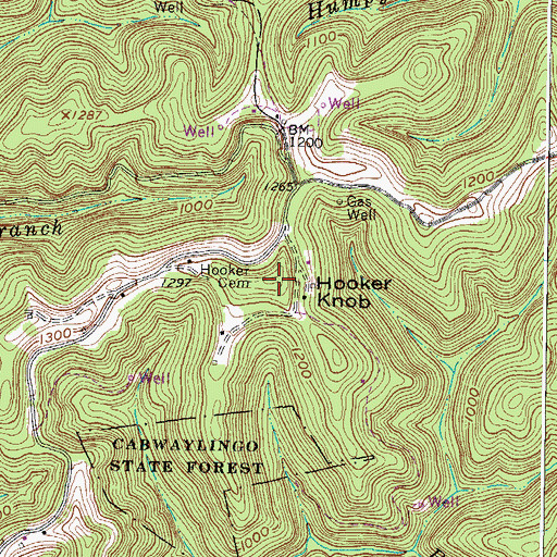 Topographic Map of Hooker Knob, WV