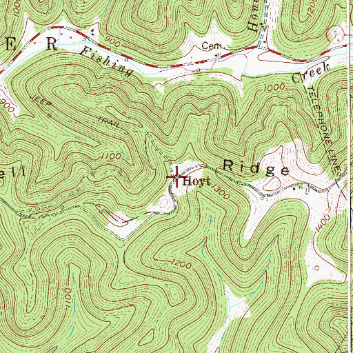 Topographic Map of Hoyt, WV
