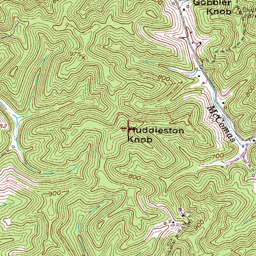 Topographic Map of Huddleston Knob, WV