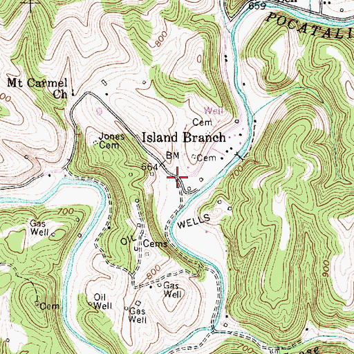 Topographic Map of Island Branch, WV