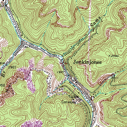 Topographic Map of Jenkinjones, WV