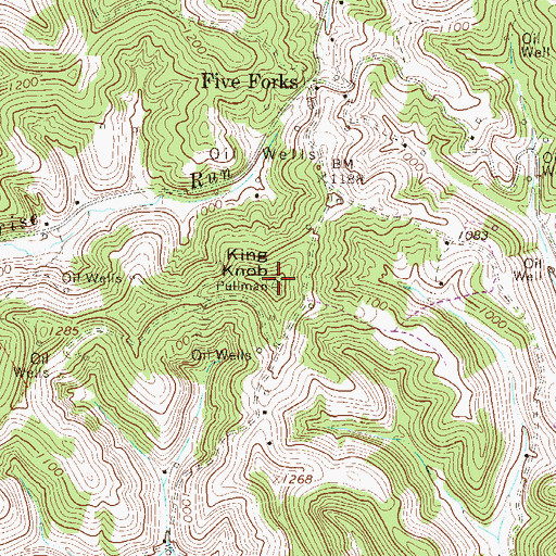 Topographic Map of King Knob, WV